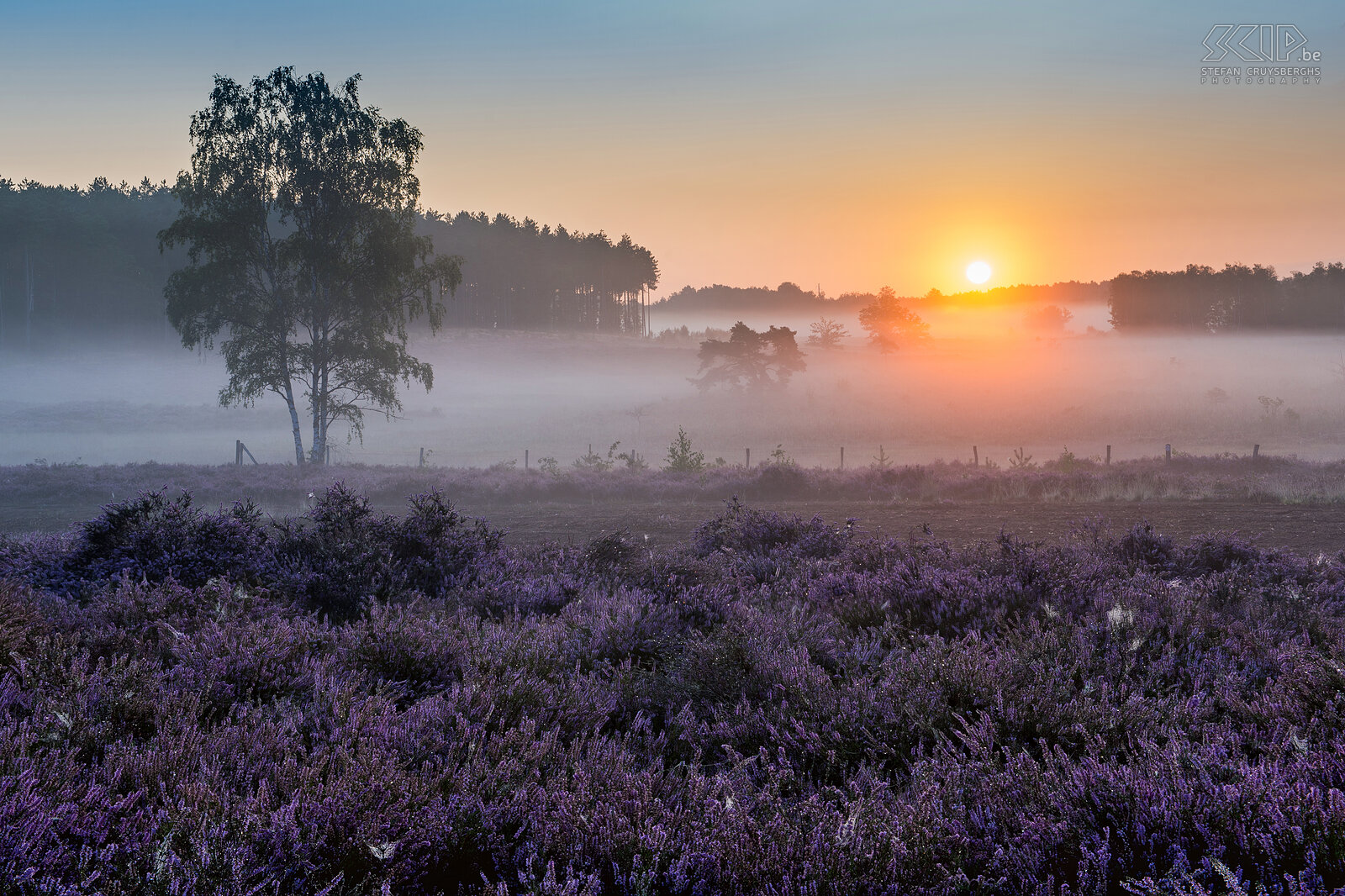 Sunrise at the Teut The Teut in Zonhoven, Limburg Stefan Cruysberghs